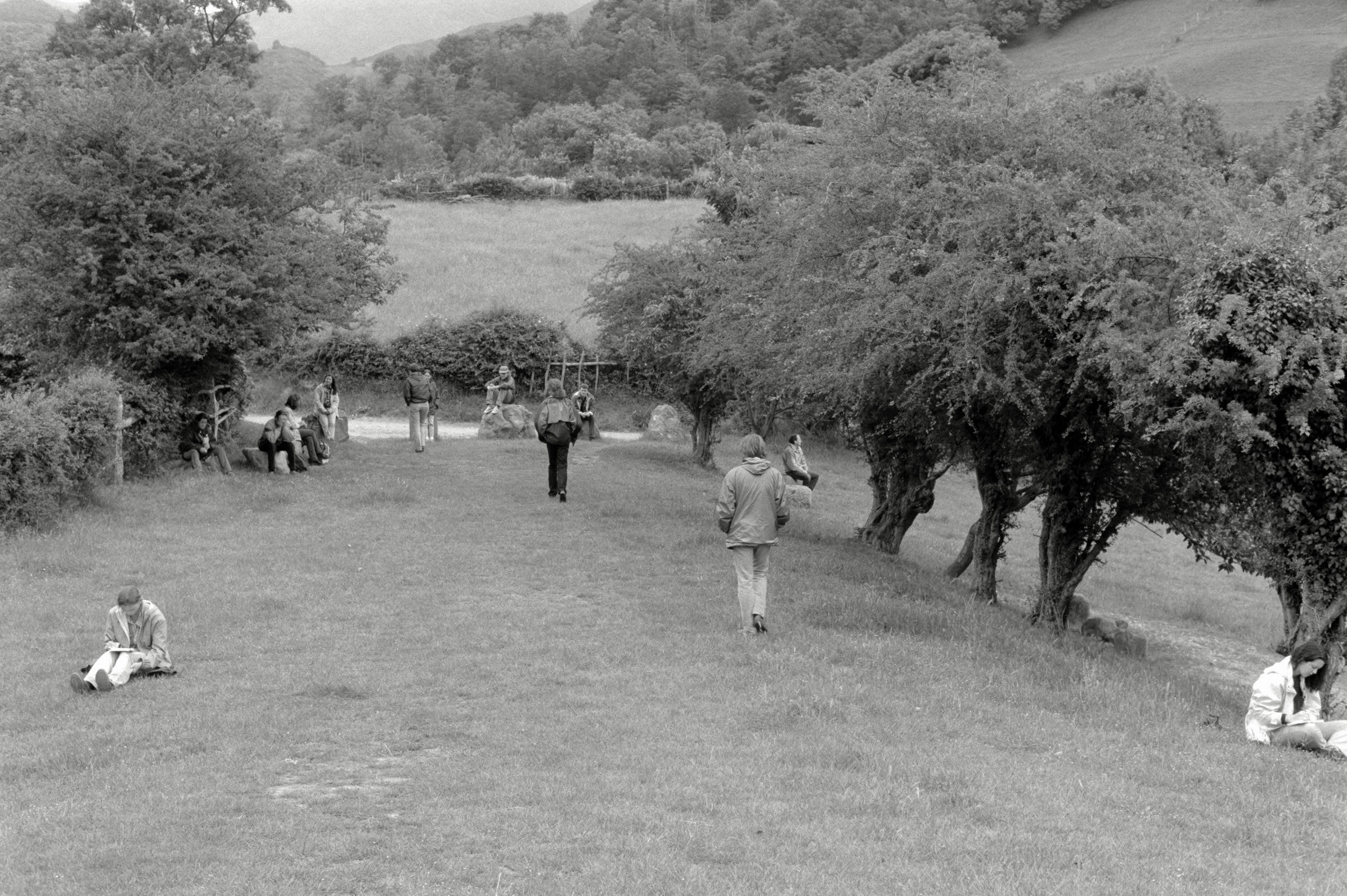 AHP F1995 05 010 sc240826 img23 NLP